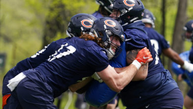 Bears Linemen