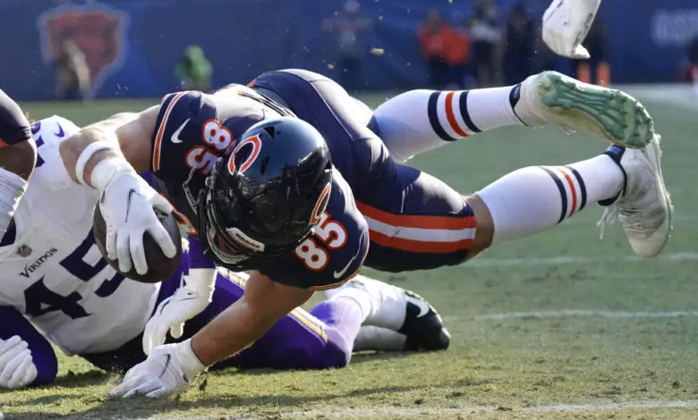 Vikings beat Bears 29-13 in final regular season game, will host