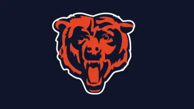 Bears New Logo