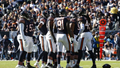 Bears Defense